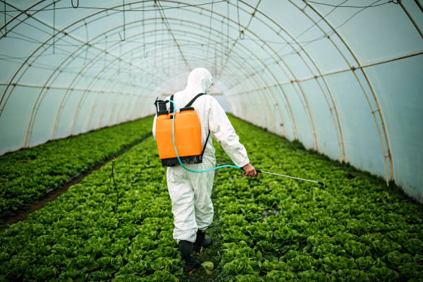 Best Mosquito Control Services  in Boonsboro, MD