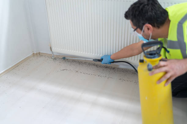 Best Bed Bug Extermination  in Boonsboro, MD