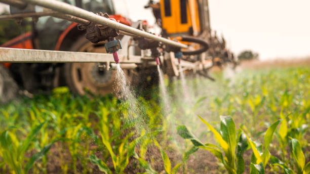 Best Best Pest Control Companies  in Boonsboro, MD